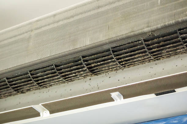 Best Local Air Duct Cleaning Services  in Valle Vista, CA